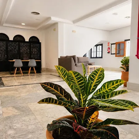 Hotel San Vicente - Centro Playa-2
