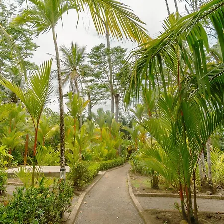 Bungalows Punta Uva-3