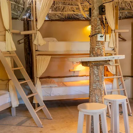 Treehouse Kitecamp Jericoacoara-2