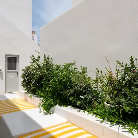 Pelican Paros-3