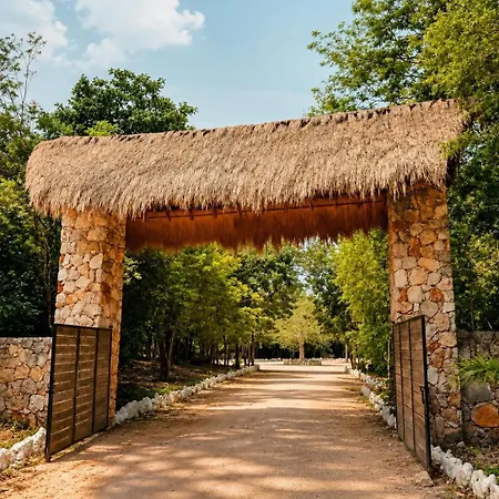 Hotel Boutique Cenote Secreto Maya-2