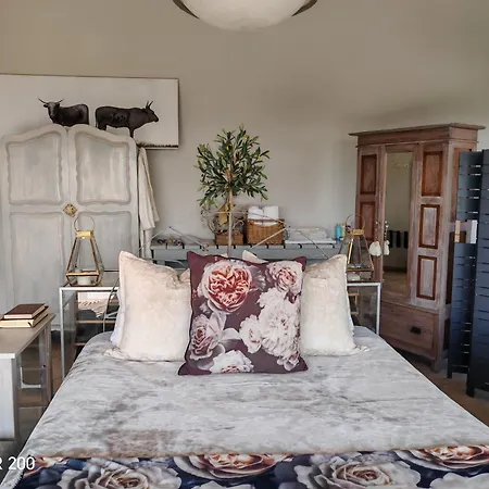 House Olive-2