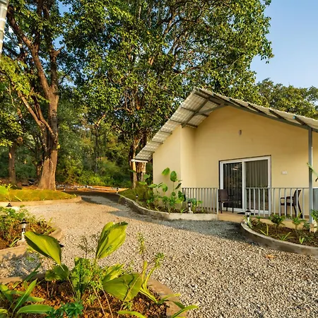 Dandeli Serene Jungle Resort-2