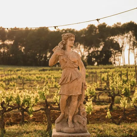Domaine Rabiega - Vineyard And Boutique Hotel-3