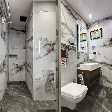 Hotel Sanca International In Patel Nagar Delhi-3