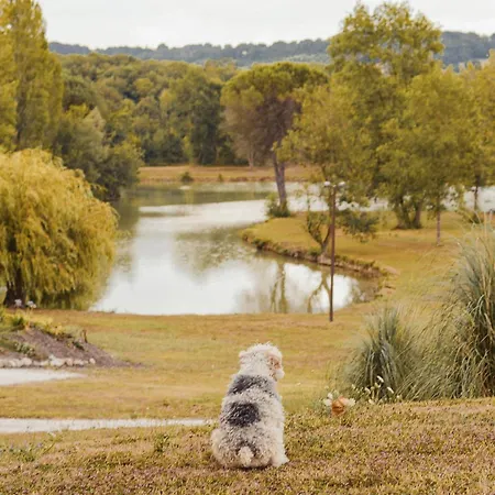 Domaine de Boulouch-3