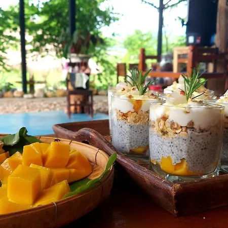 True Nature Chiang Mai - Yoga & Meditation Homestay Retreat-2