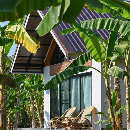 True Nature Chiang Mai - Yoga & Meditation Homestay Retreat-2