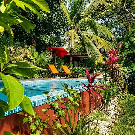 Casa Mapache Pool And Breakfast Available Near Tamarindo Beach-3