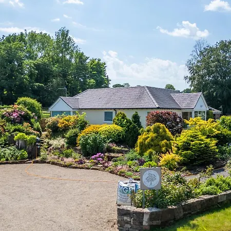 The Bay Tree Bed & Breakfast-2