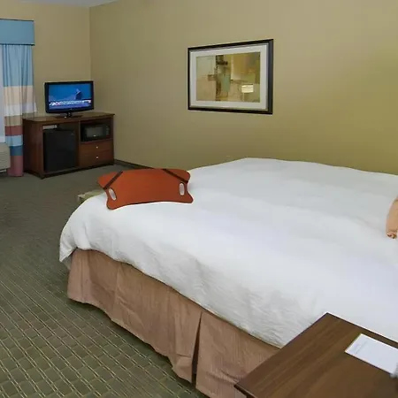 Hampton Inn & Suites Baton Rouge/Port Allen-2