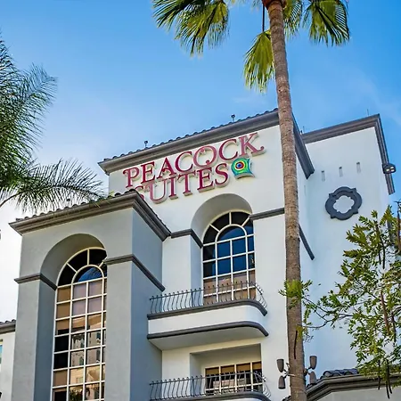 Peacock Suites-2