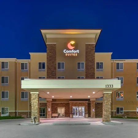 Comfort Suites Conference Center Rapid City-3