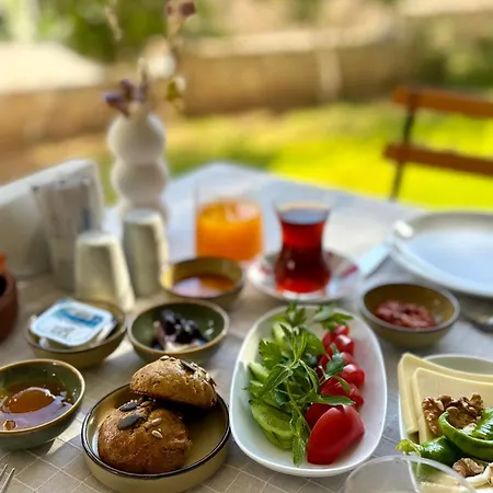 Hotel Villa Tokur-2