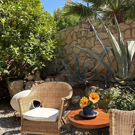 Hotel Villa Tokur-3