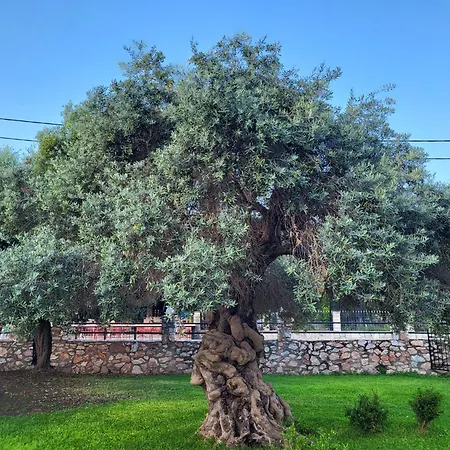 Vourvourou Hotel-2