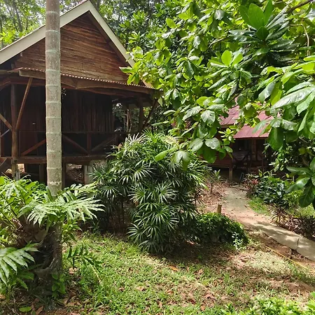 Jungle Hill Beach Bungalow-2