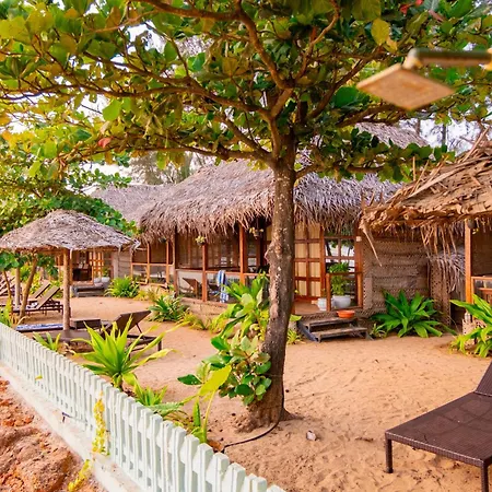 The Bay Agonda-3