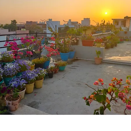 Iora Guest House-2