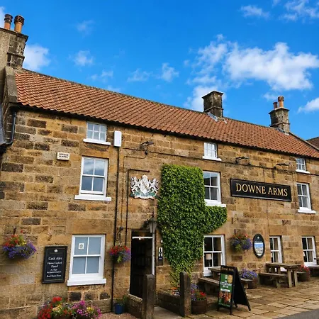 The Downe Arms Inn-2