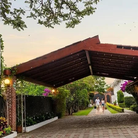 Nuevo Amanecer-3