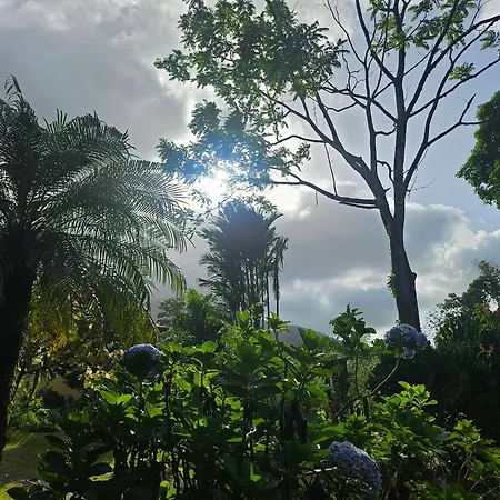 Yellow Tree Suites-2