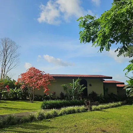 Yellow Tree Suites-2