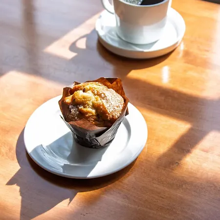 Hotel Weyanoke (Adults Only)-2