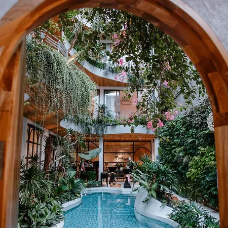 Cityhouse Vibe City Oasis-3