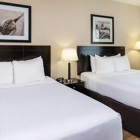 Radisson Hotel Edmonton Airport-3