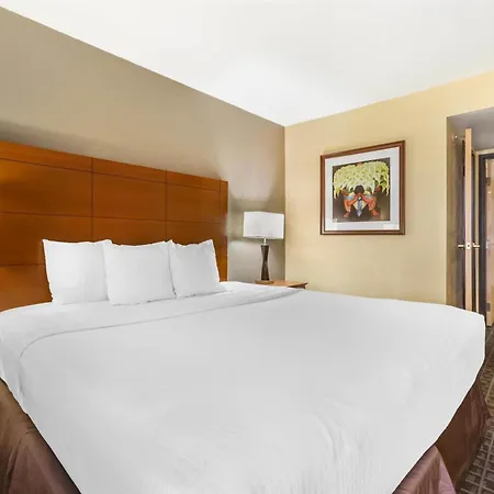 Best Western Plus Scottsdale Thunderbird Suites-3