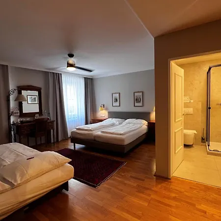 Hotel Goesser Braeu-2