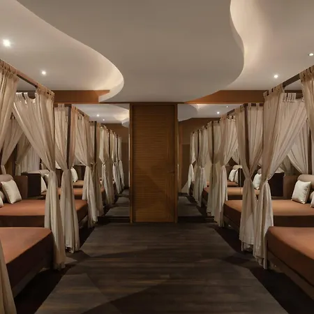 Melia Desert Palm Member Of Melia Collection-3