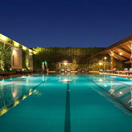 Holiday Inn Singapore Orchard City Centre By Ihg-3