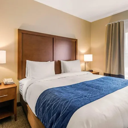 Comfort Suites Humble Bush Intercontinental Airport-3