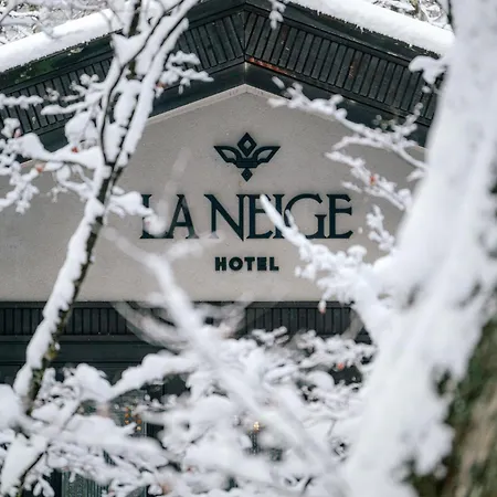Hotel La Neige-2