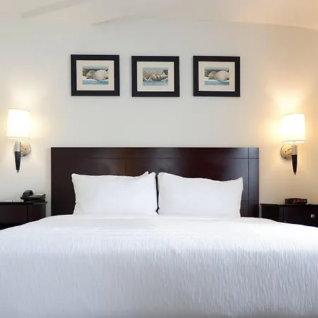 The Volare, An Ascend Collection Hotel-3