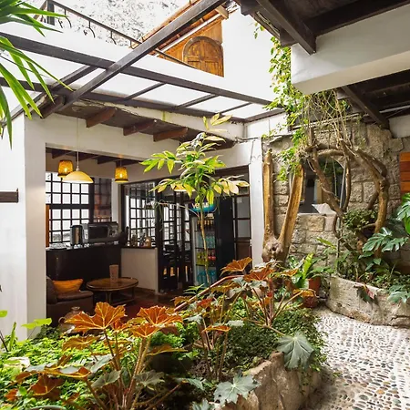 Gringo Bill'S Boutique Hotel-2