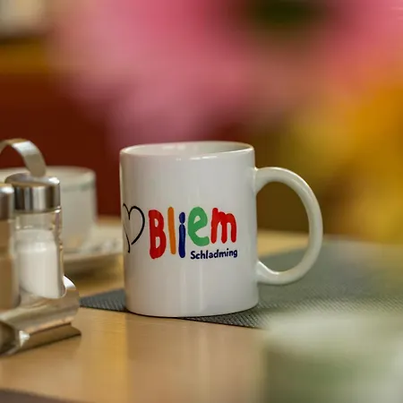 Apparthotel Bliem-3