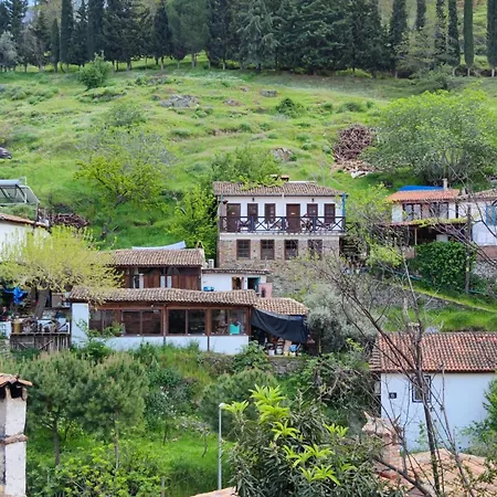 Şirince Doğadaki Evler-2