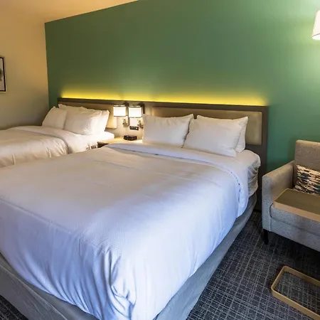 Comfort Inn & Suites New Iberia - Avery Island-2