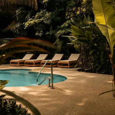 Believe Surf & Yoga Lodge Santa Teresa-2