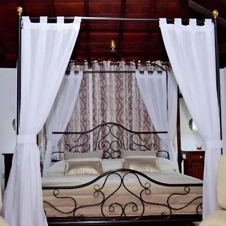 Hotel Drago San Antonio-3
