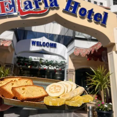Elaria Hotel Hurgada-2