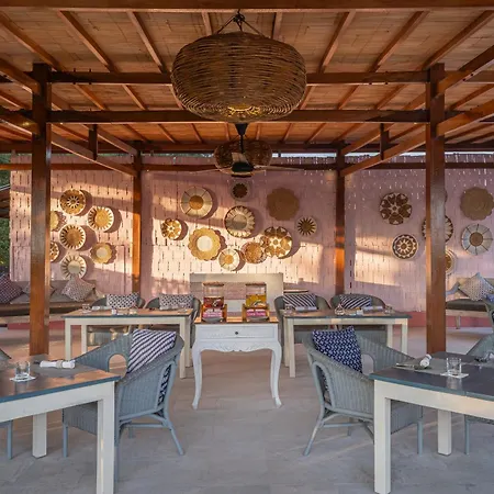 Pinkcoco Gili Trawangan - Constant Surprises - For Cool Adults Only-3