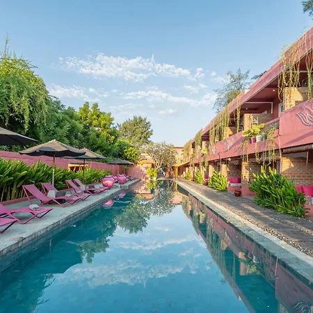 Pinkcoco Gili Trawangan - Constant Surprises - For Cool Adults Only-2