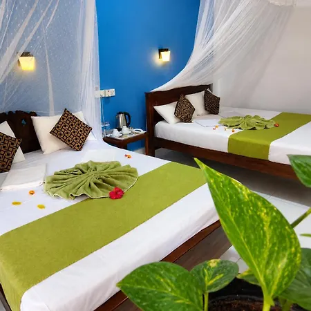 Sigiri Lion Lodge-2