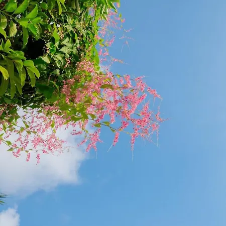 Phi Phi Phu Chalet Resort-3