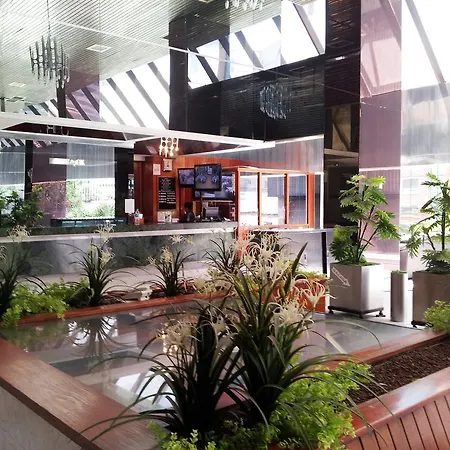 Hotel Plaza Madrid-2