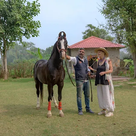 Maa Ashapura Resort-2